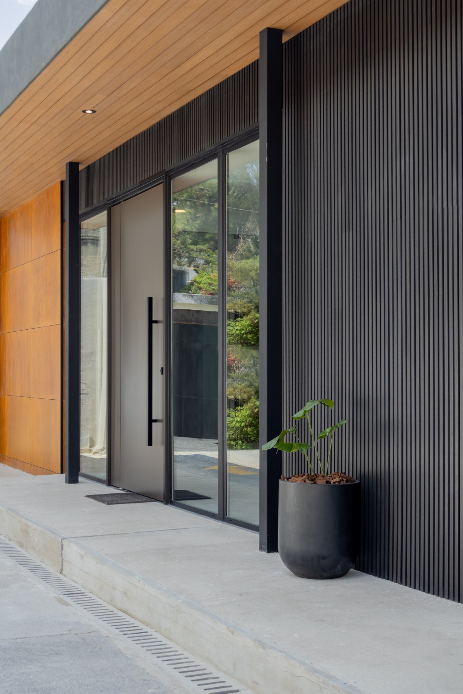 Puerta Showroom Viana