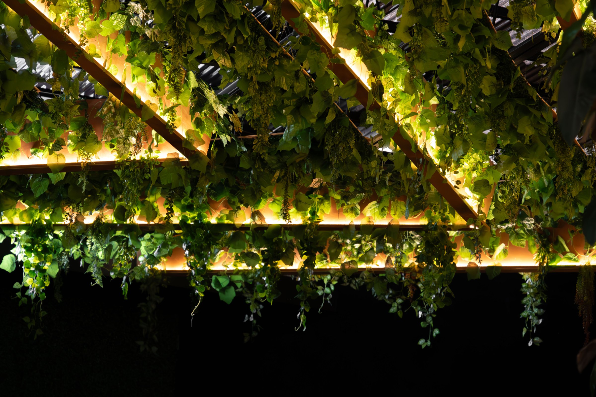 Luces de Pergola Cantina La 20